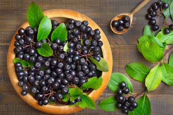 Aronia W A Ciwo Ci I Przepisy Na Przetwory Z Aronii Naturalnie O