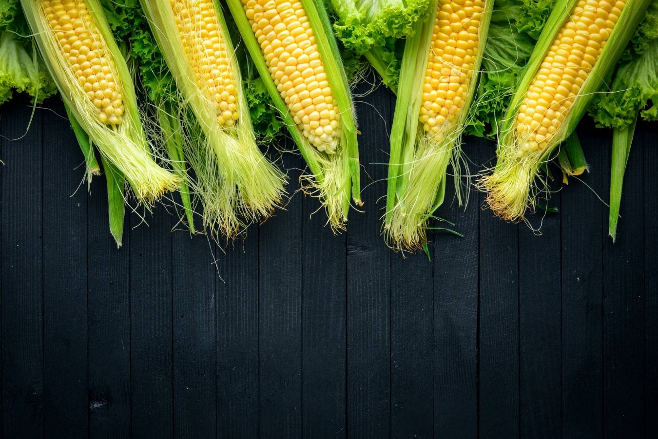 Zastosowanie znamion kukurydzy w medycynie chińskiej.