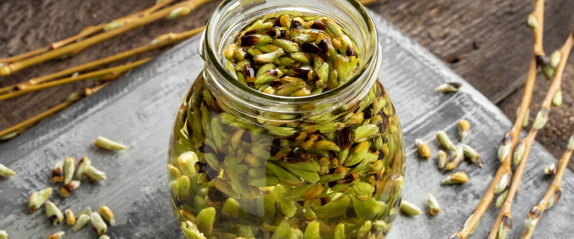 Gemmoterapia - czym jest pączkobranie i jakie właściwości lecznicze mają pąki roślin. Pączki roślinne w słoju na nalewkę.