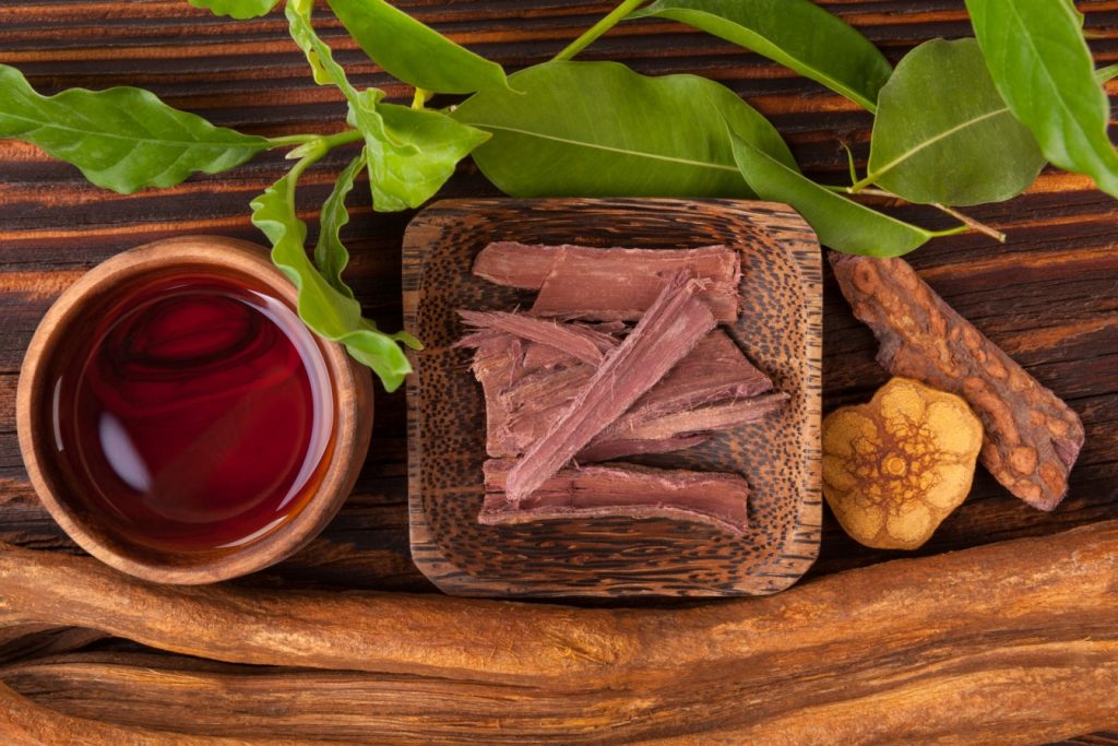 Ayahuasca (ajałaska) - na czym polega rytuał? | Naturalnie o Zdrowiu