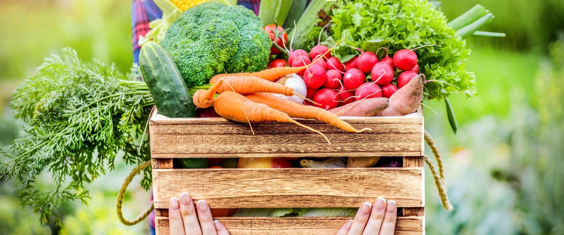 Błonnik - w jakich produktach go szukać? Rolniczka trzyma w dłoniach skrzynię pełną świeżych warzyw.