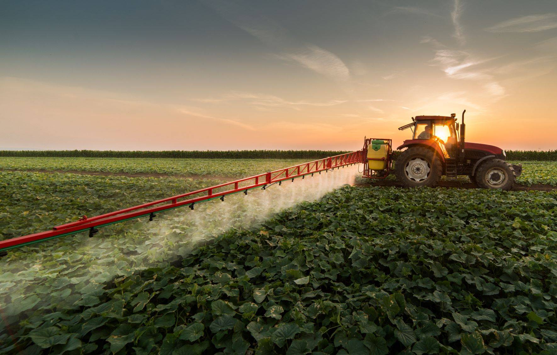 Czy chloropiryfos jest toksyczny? Traktor na polu rozpyla opryski. Czy polskie plony są niebezpieczne dla zdrowia?