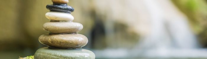 cykl dobowy zegar narzadow