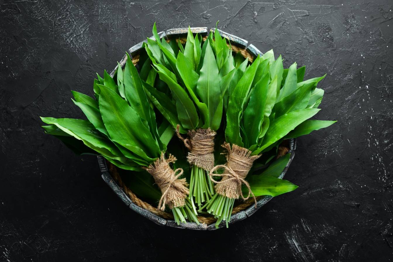 Co to jest czosnek niedźwiedzi i jakie ma właściwości lecznicze? Bukiety z liści czosnku niedźwiedziego leżą w misce stojącej na czarnym blacie.