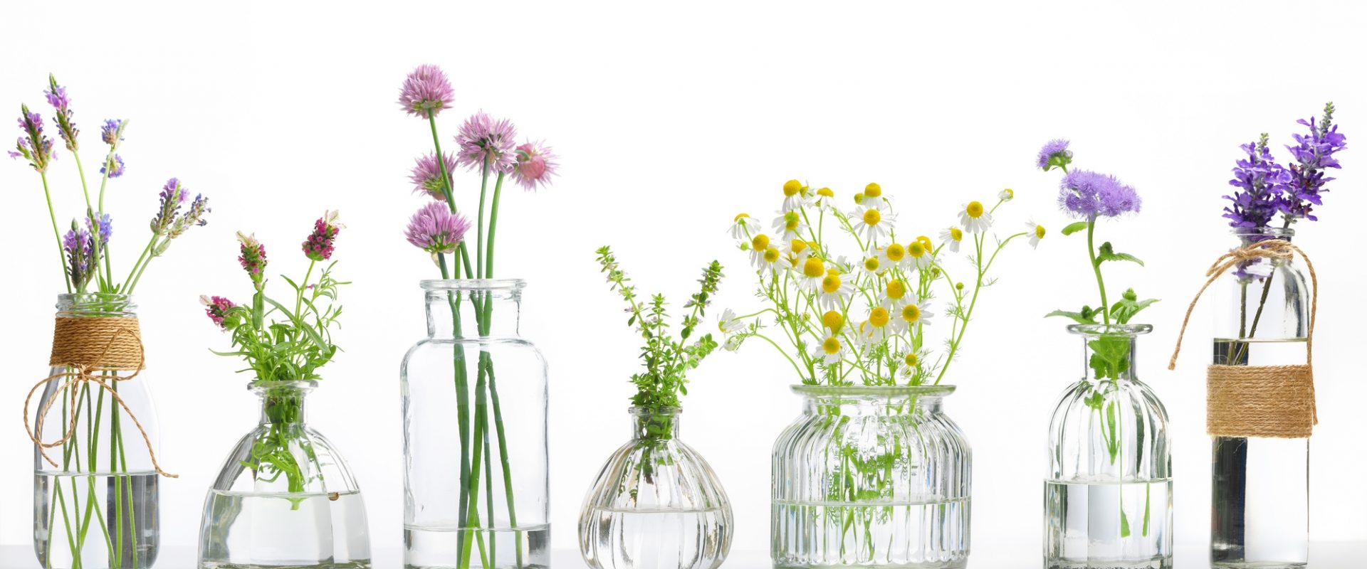 Jakie leki homeopatyczne zastosować na ból gardła? W szklanych wazonikach o różnym kształcie stoją bukiety kwiatów polnych i ziół.