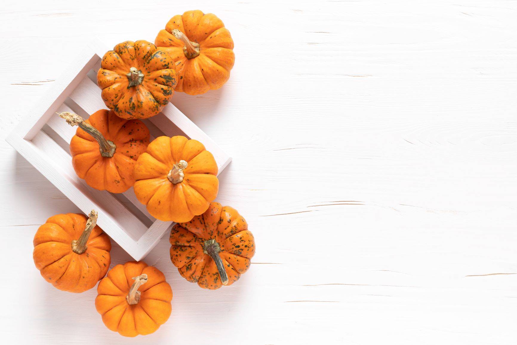 Przepisy na przetwory z dyni. Okrągłe dynie na białym tle.