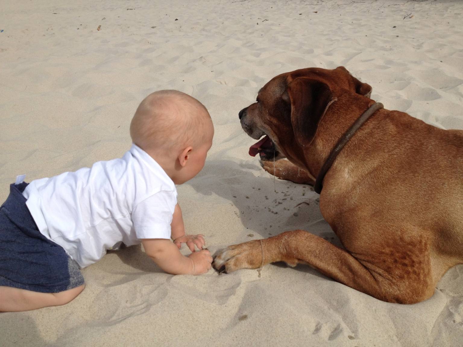 Synek Beaty Sadowskiej z psem Momo na plaży. Dziennikarka opowiada o tym, jak się przygotowuje do wyjazdów z dziećmi.