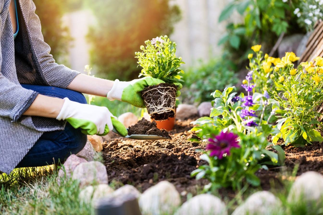Kobieta sadzi kwiaty w ekologicznym ogrodzie. Jak stworzyć eko ogród bez chemii?