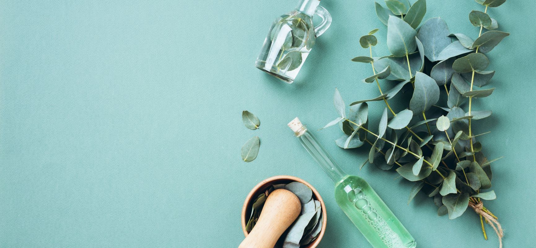 Eko dezynfekcja z olejkiem eukaliptusowym w roli głównej. Olejek eukaliptusowy używany jest do ekologicznego sprzątania, masażu i inhalacji. Jak zrobić domowe środki czystości DIY z olejkiem eukaliptusowym?