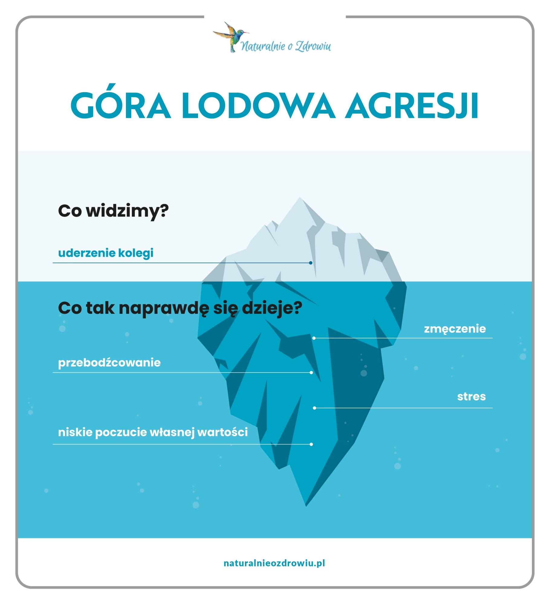 Góra lodowa - infografika. Jak reagować na agresję u dzieci?