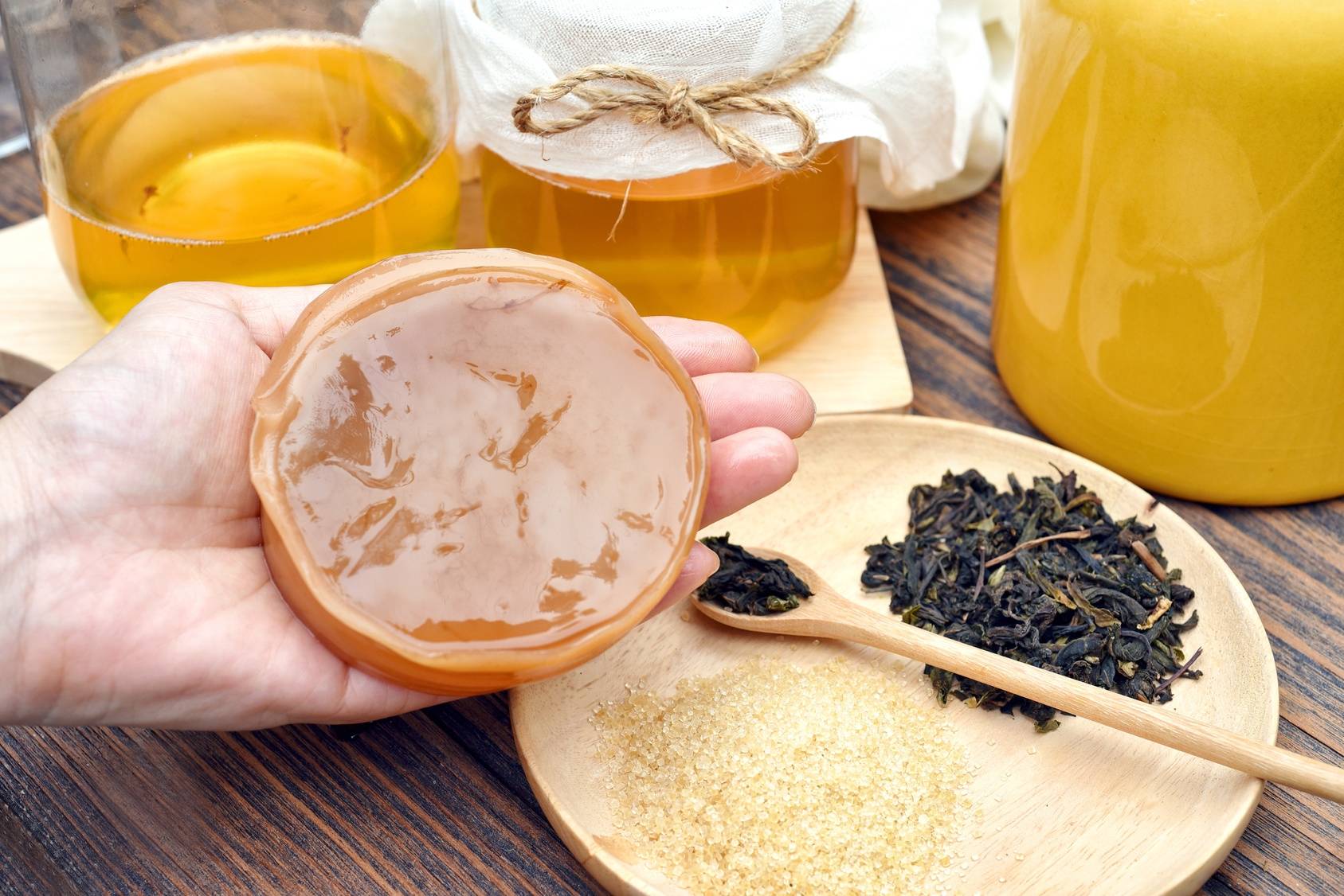 Grzybek kombucha - napój probiotyczny. Proces robienia kombuchy.