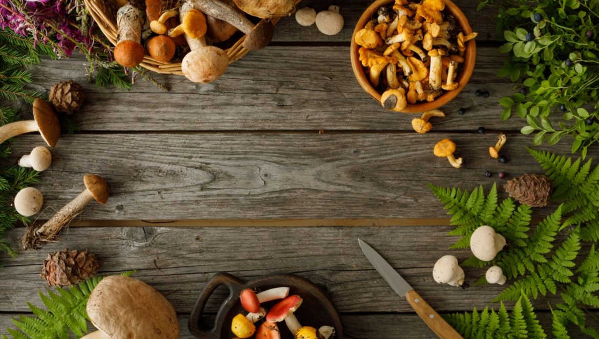 Przepisy z grzybami autorstwa Agnieszki Żelazko. Świeżo zebrane grzyby leżą na drewnianym stole w kuchni - widok z góry.