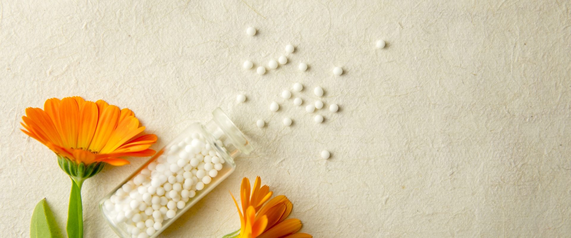 Homeopatia na choroby skóry. Jak leczyć dermatozy naturalnymi sposobami? Kwiaty nagietka leżą obok fiolki z lekami homeopatycznymi.