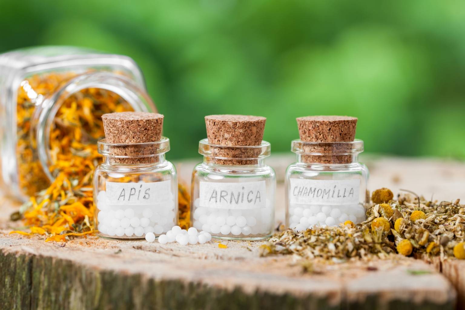 Leki homeopatyczne w granulkach - Arnica montana.