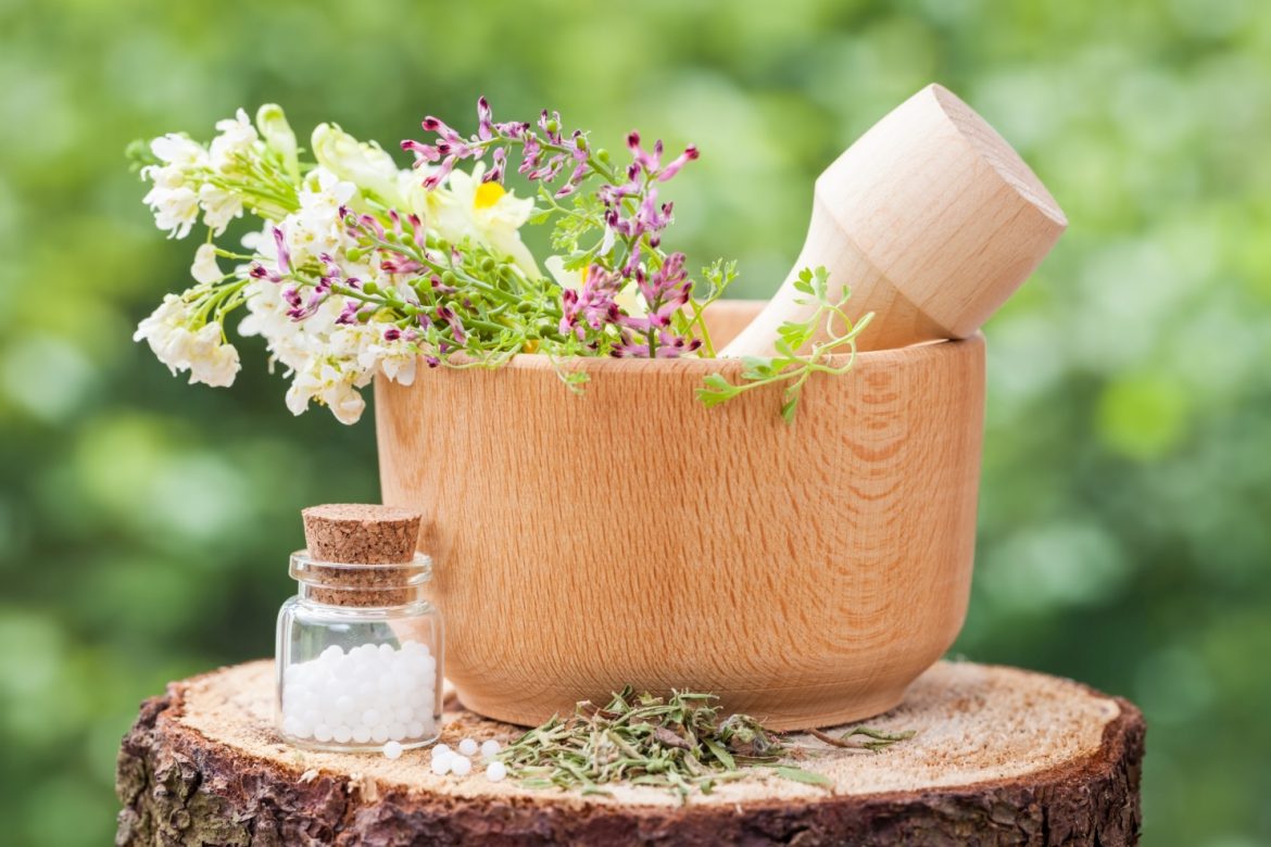 Phytolacca decandra - lek homeopatyczny na ból gardła i inne różne dolegliwości. Świeżo ścięte kwiaty leżą w wielkim drewnianym moździerzu na pieńku w ogrodzie, obok stoi fiolka z lekiem homeopatycznym w białych granulkach.