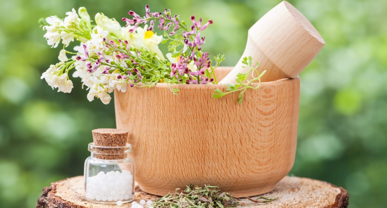 Phytolacca decandra - lek homeopatyczny na ból gardła i inne różne dolegliwości. Świeżo ścięte kwiaty leżą w wielkim drewnianym moździerzu na pieńku w ogrodzie, obok stoi fiolka z lekiem homeopatycznym w białych granulkach.