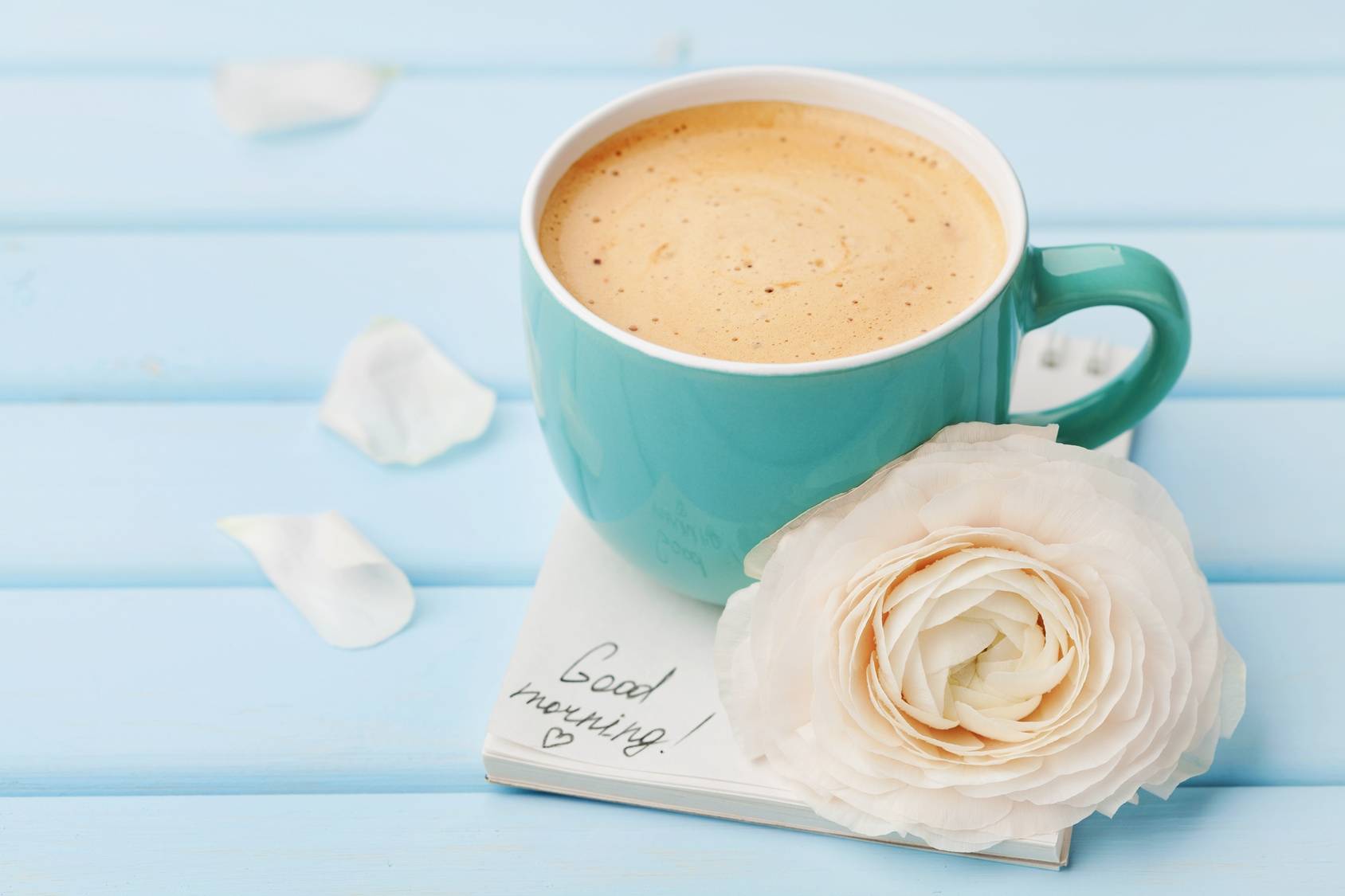 Kawa zbożowa bezkofeinowa - którą wybrać? Niebieska filiżanka kawy zbożowej leży na błękitnym drewnianym blacie, na serwetce, obok leży biały kwiatek.