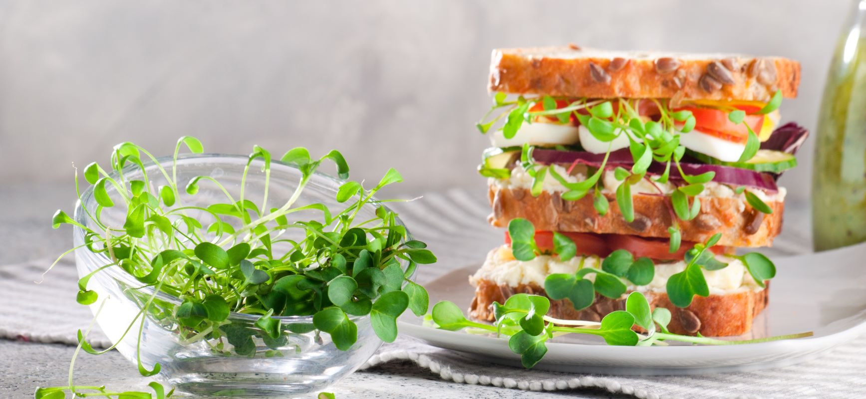 Co warto jeść na przedwiośniu i na wiosnę? 5 produktów: kiełki, rzeżucha, szczypiorek, rzepa, kasza jaglana. Kanapka z kiełkami.
