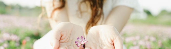 Rośliny lecznicze, które łagodzą podrażnienia skóry i błon śluzowych. Sprawdź, które rośliny i zioła leczą chorą skórę. Zbliżenie na kobiece dłonie trzymające płatki kwiatów na łące.