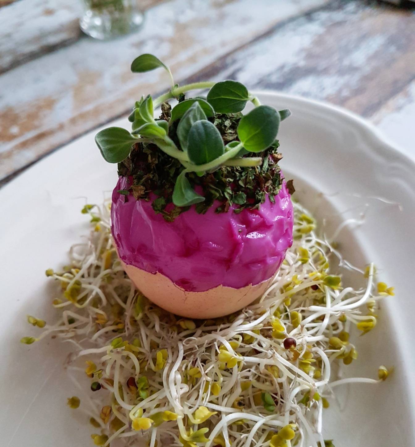 Kolorowe jajka w ziołowych czapeczkach - przepisy na Wielkanoc Agnieszki Żelazko.