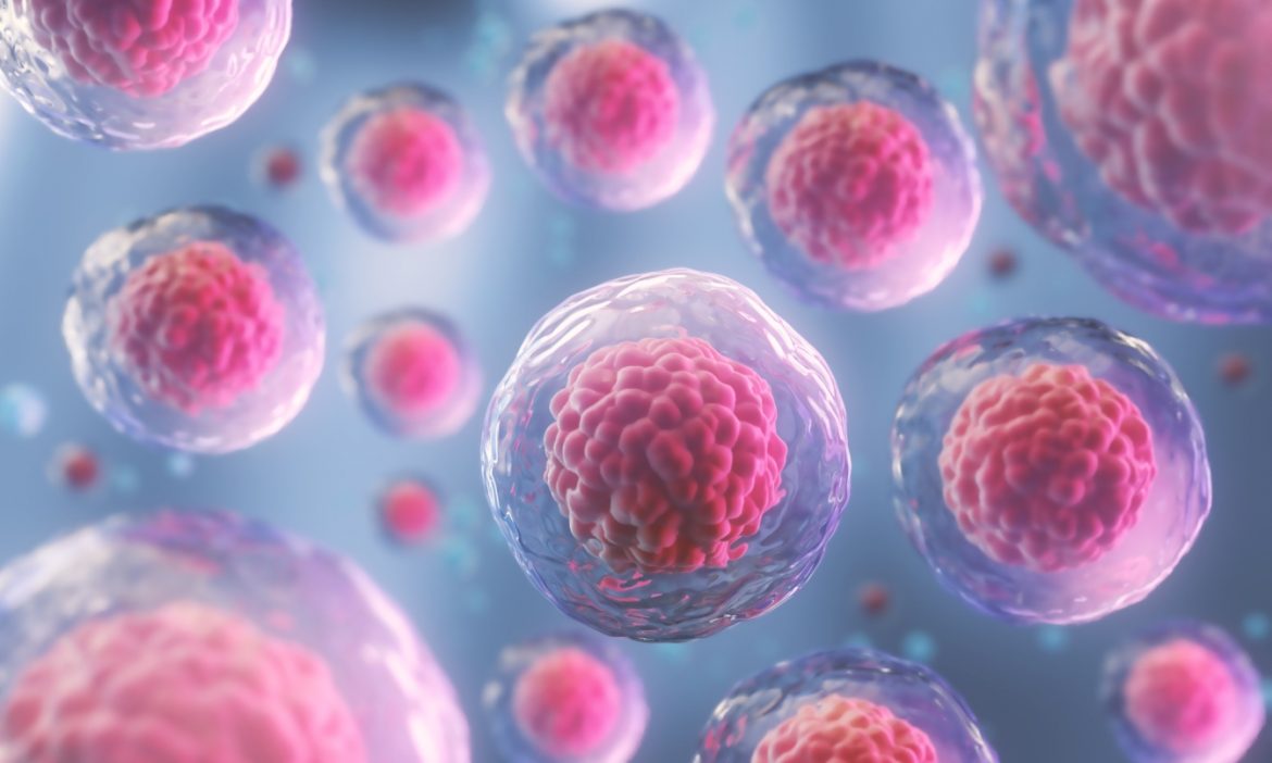 Komórki macierzyste - czym są i w jakim celu się je stosuje? Dlaczego warto złożyć komórki w banku komórek macierzystych? Komórki w obrazie 3D.