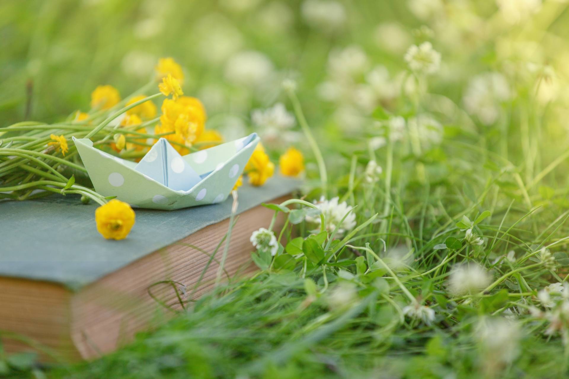 Książka na wakacje, książki na lato - jakie wybrać? Zbliżenie na starą książkę leżącą w trawie, na niej leżą żółte kwiatki i łódeczka z papieru.