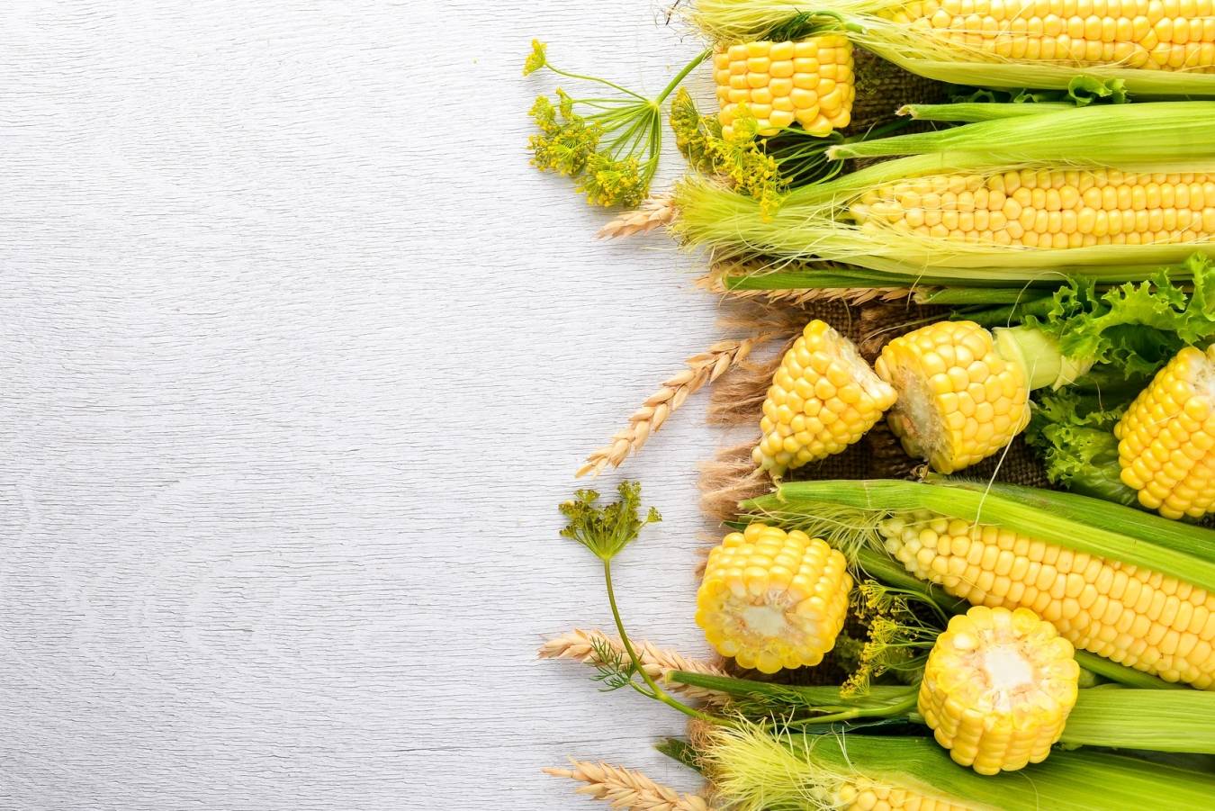 Kukurydza - właściwości i zastosowanie znamion kukurydzy.