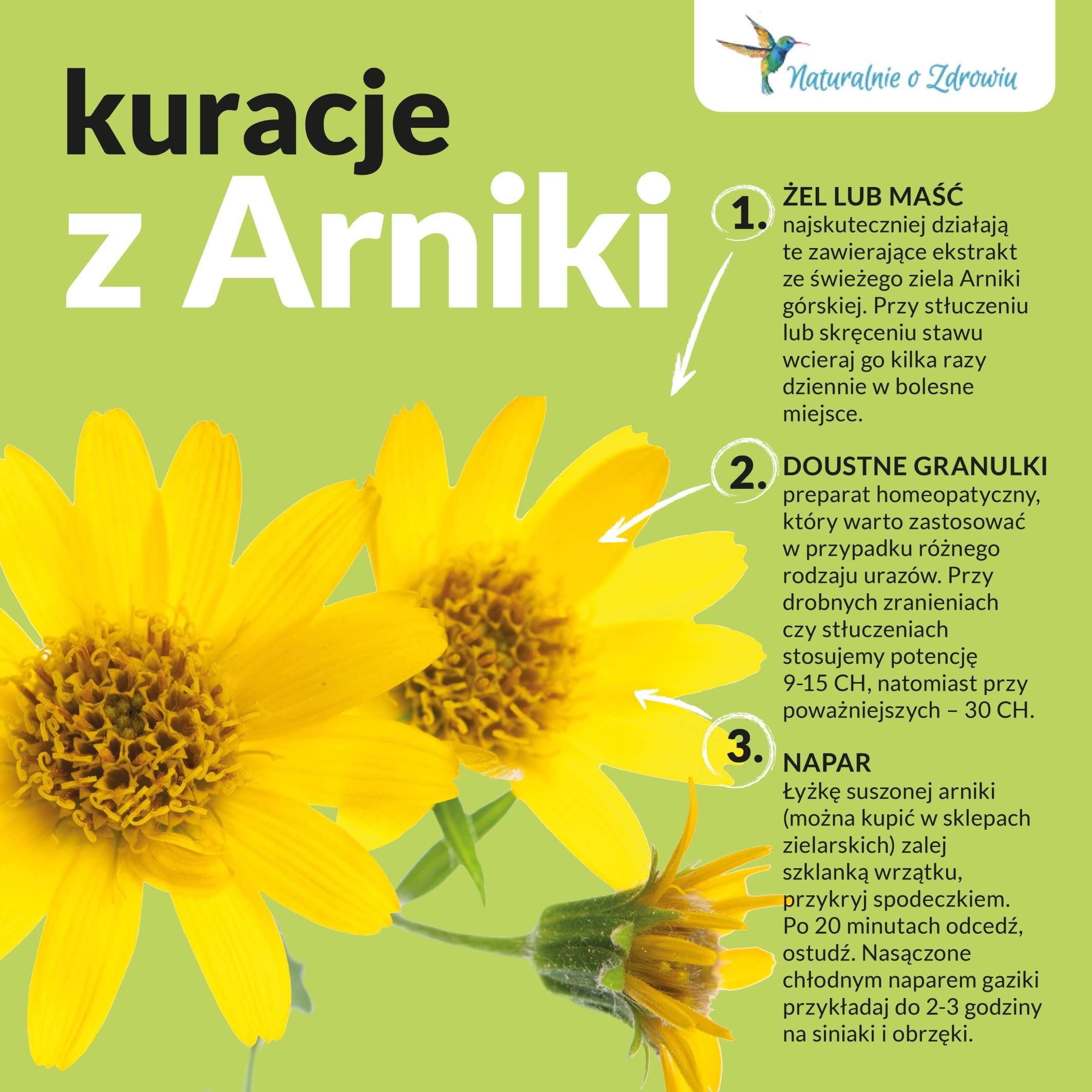Maść z arniki, żel z arniki górskiej, napary i granulki z arniki na stłuczenia i urazy. Arnika górska - infografika pt. Kuracje z arniki.