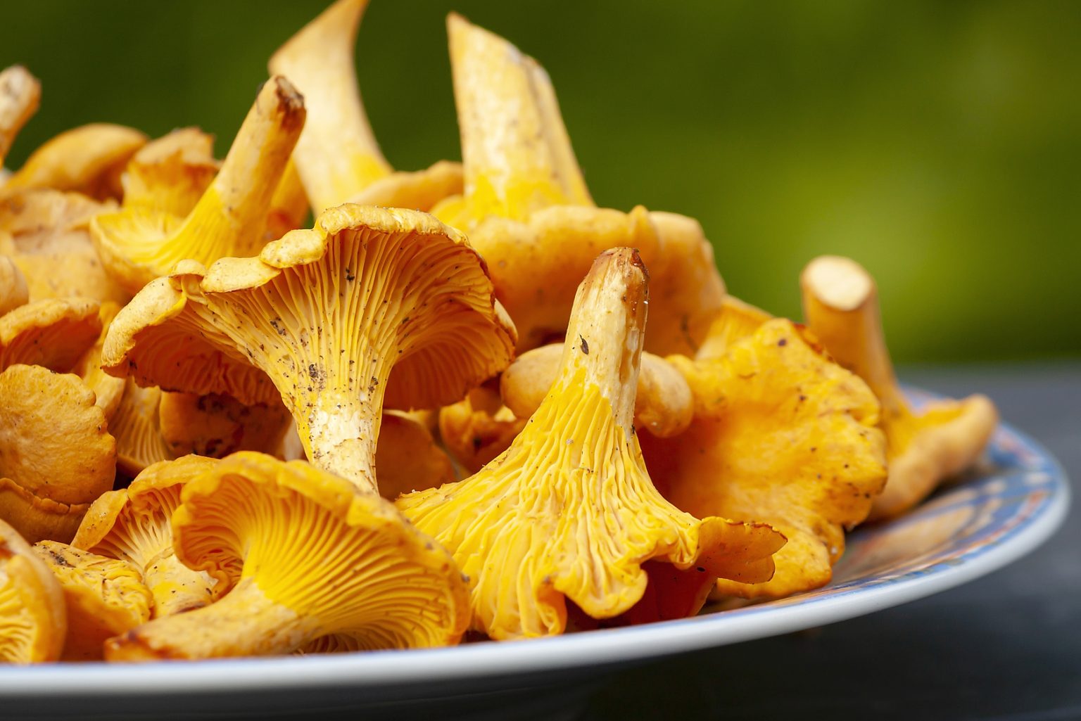 Kurki Dlaczego Warto Je Je Naturalnie O Zdrowiu Kurki Dlaczego Warto Je Je Naturalnie O Zdrowiu