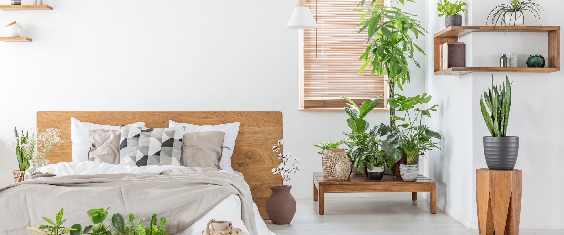 Kwiaty do sypialni - rośliny oczyszczające powietrze i produkujące tlen. Eko sypialnia pełna kwiatów.