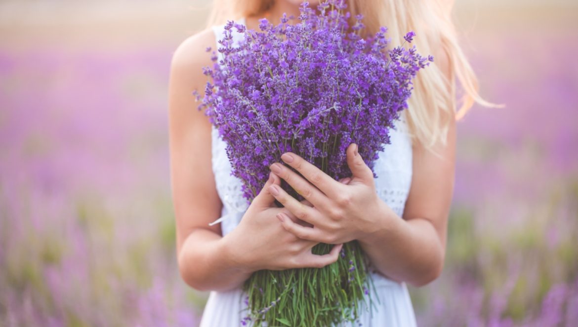 Lawenda - jak ją pielęgnować? Piękna dziewczyna stoi w polu lawendy i trzyma w rękach wielki bukiet lawendy.