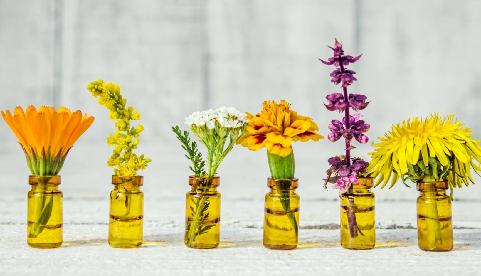 Leki syntetyczne i roślinne - czym się różnią? Kwiaty w fiolkach po lekach.