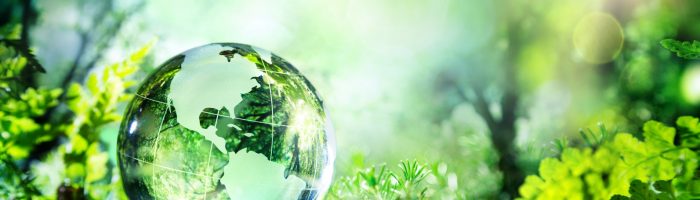 Prof. dr med. Andreas Michalsen: leczenie siłami natury - na czym polega medycyna naturalna i dlaczego warto ją łączyć z medycyną konwencjonalną?