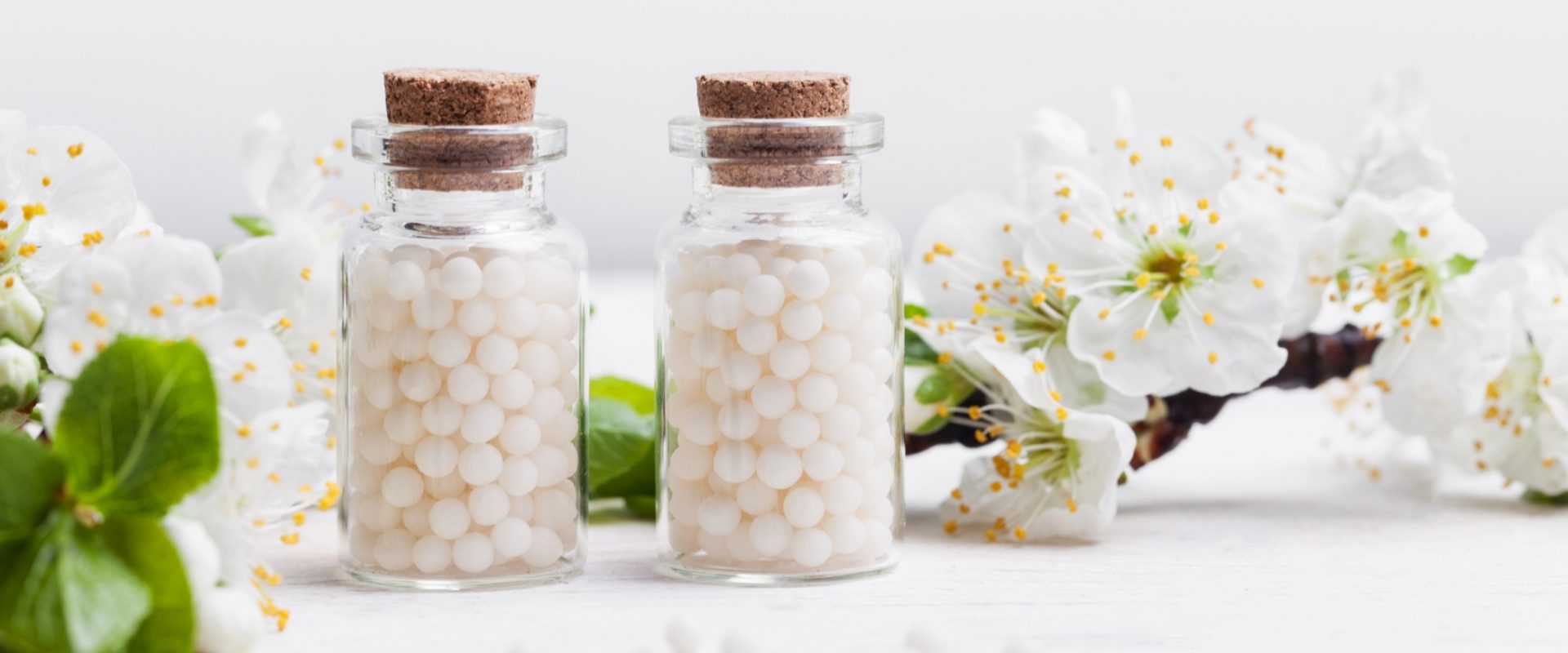 Sepia officinalis - lek homeopatyczny na różne dolegliwości - fizyczne i emocjonalne. Dwie fiolki granulek homeopatycznych stoją na białym blacie w otoczeniu białych kwiatów jabłoni.