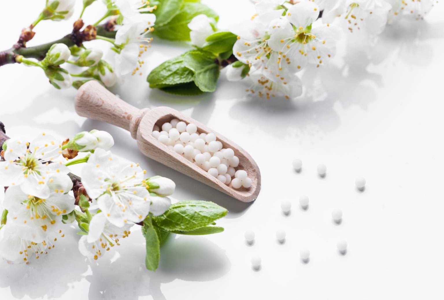 Leki homeopatyczne na alergię na pyłki. Na białym tle leży drewniana łyżeczka z granulkami leku homeopatycznego, wokół leżą kwiaty jabłoni i rozrzucone białe granulki leku.