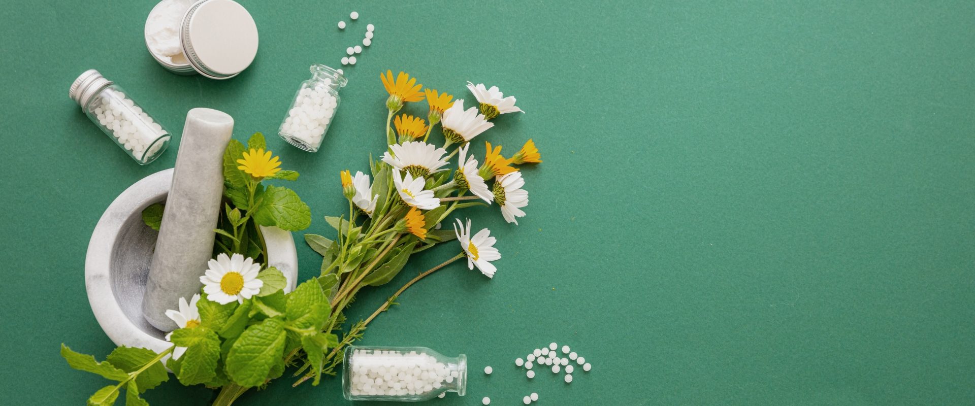 Actaea racemosa - lek homeopatyczny na kobiece dolegliwości. Granulki leków homeopatycznych i bukiet kwiatów polnych na zielonym tle.