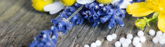 Leki homeopatyczne na ból menstruacyjny i dolegliwości przy miesiączce. Granulki homeopatyczne leżą obok kwiató polnych na starym drewnianym blacie.