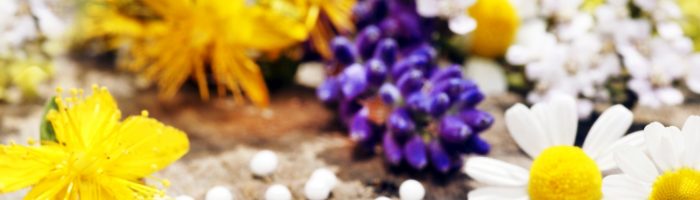 Lek homeopatyczny Arsenicum album na ból żołądka, biegunkę i ostre stany zapalne. Co warto o nim wiedzieć? Granulki homeopatyczne leżą na starym drewnianym stole obok świeżo ściętych kwiatów rumianku, mniszka i dziurawca.