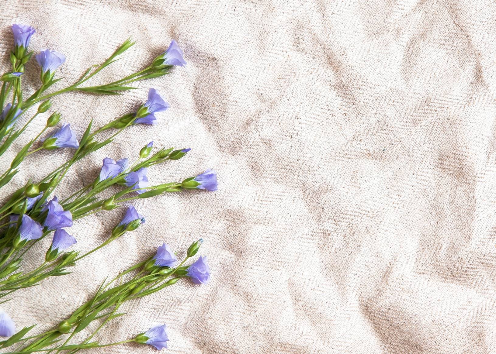 Tkanina lniana. Jakie właściwości i zastosowanie ma len?