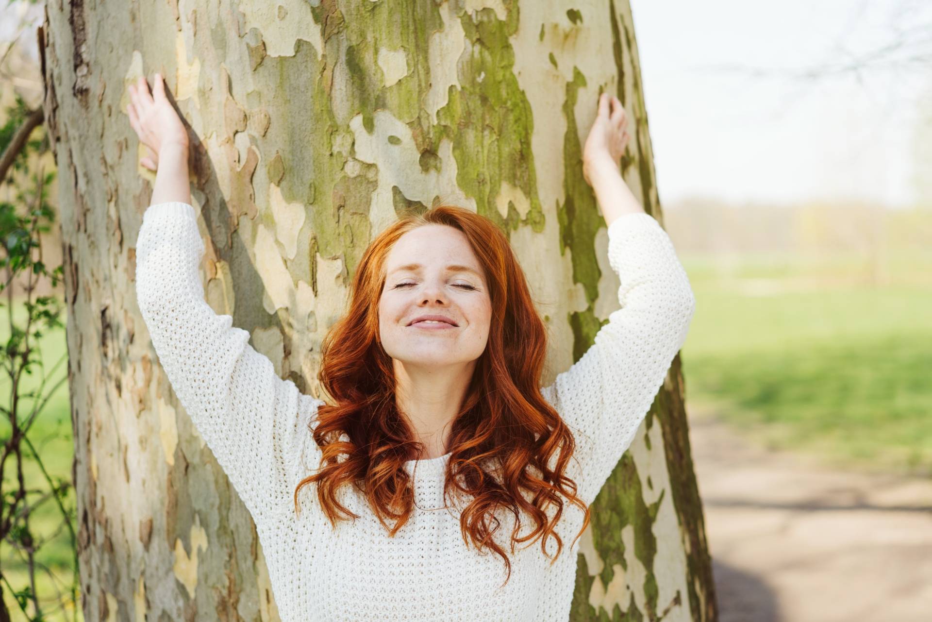 Sylwoterapia - gatunki drzew, do których warto się przytulać.