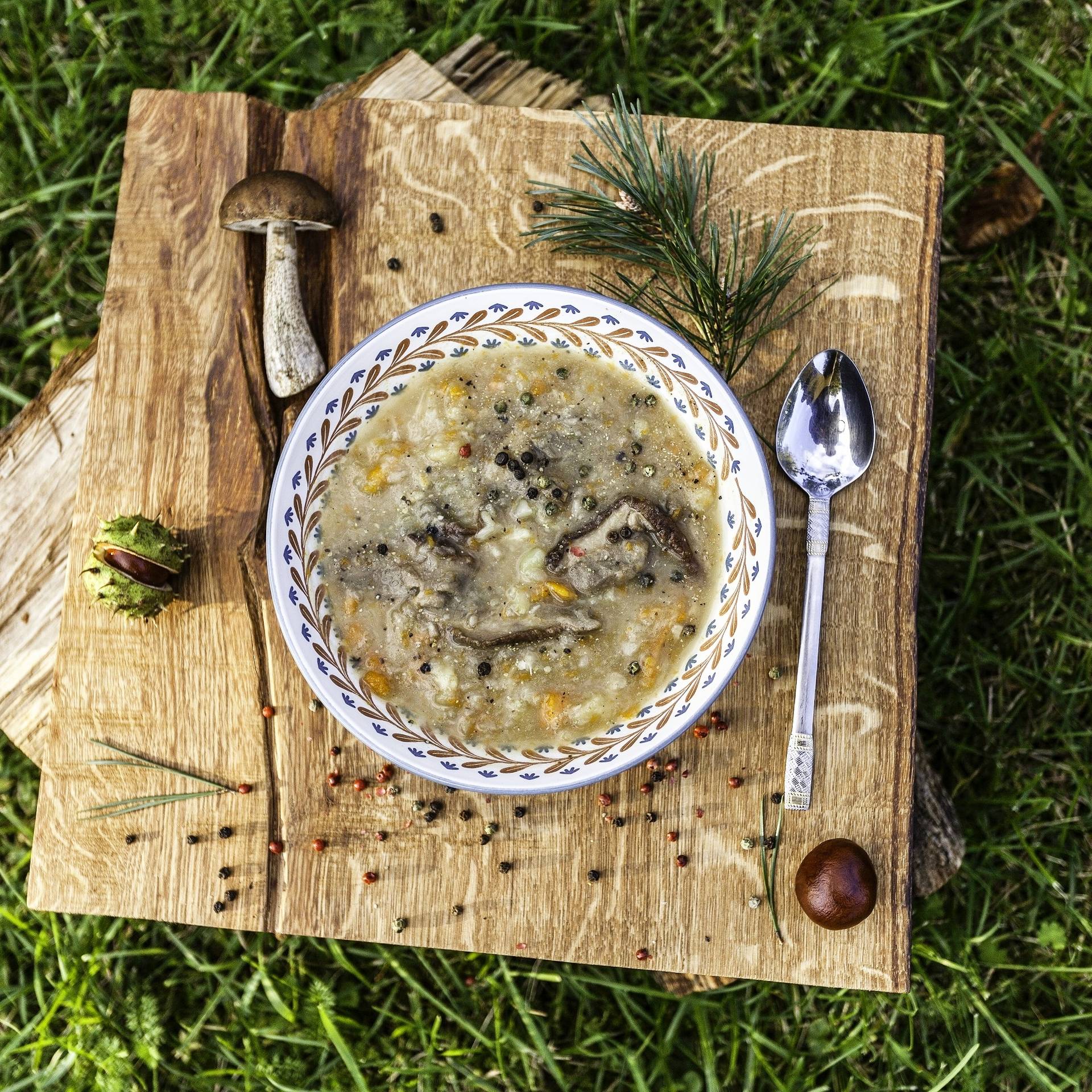 Leśna zupa grzybowa z ziemniakami, rozmarynem i igiełkami sosny. Przepisy z grzybami Agnieszki Żelazko.