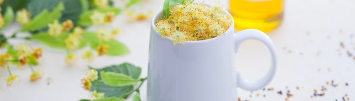 Jak szybko pozbyć się przeziębienia? Herbata z lipy na rozgrzanie w białym kubku, w tle leży słoik miodu oraz kwiaty i liście lipy..
