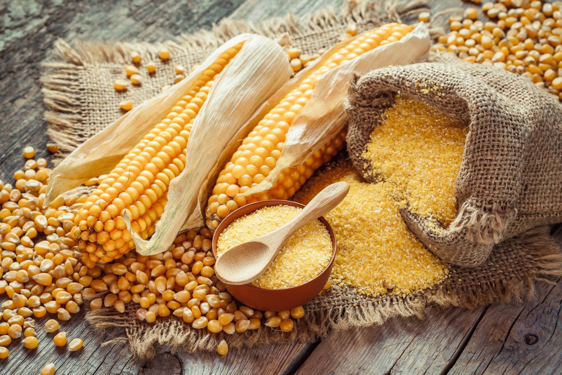 Mąka kukurydziana bez glutenu i ziarna kukurydzy w woreczkach i miseczkach. Obok leżą dwie kolby kukurydzy.