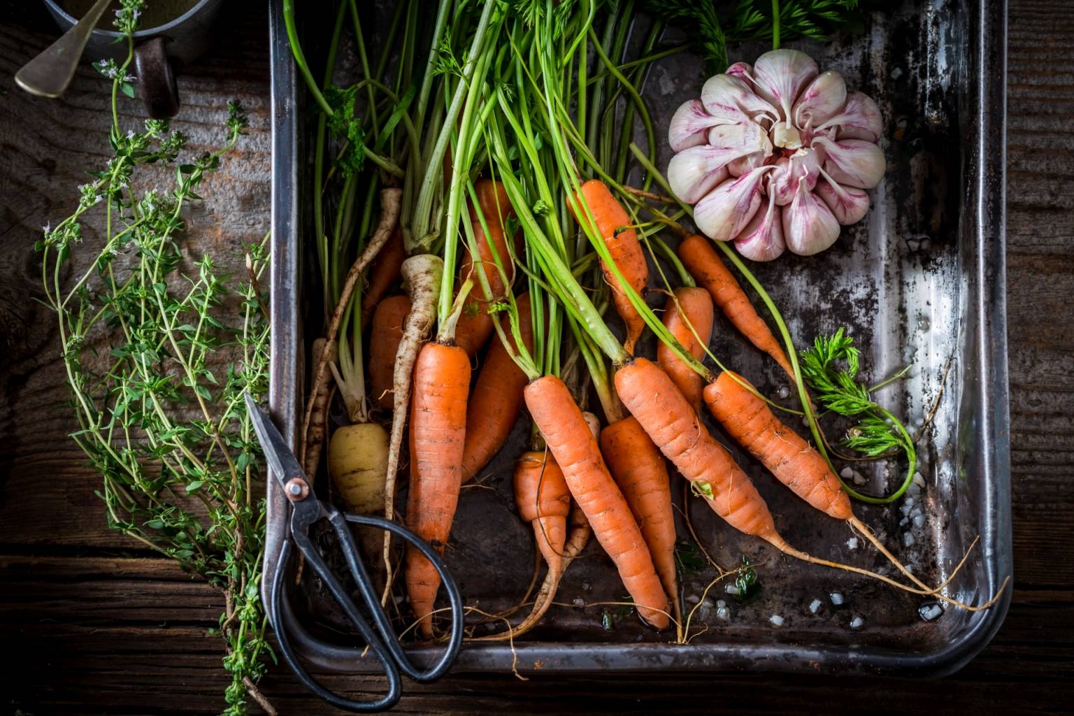 Warzywa korzeniowe są zdrowe i lekkostrawne. Pęczek marchewki i główka czosnku w brytfance do pieczenia.