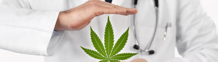 Czym jest układ endokannabinoidowy i jaką pełni funkcję w organizmie? Lekarz prezentuje liść medycznej marihuany.