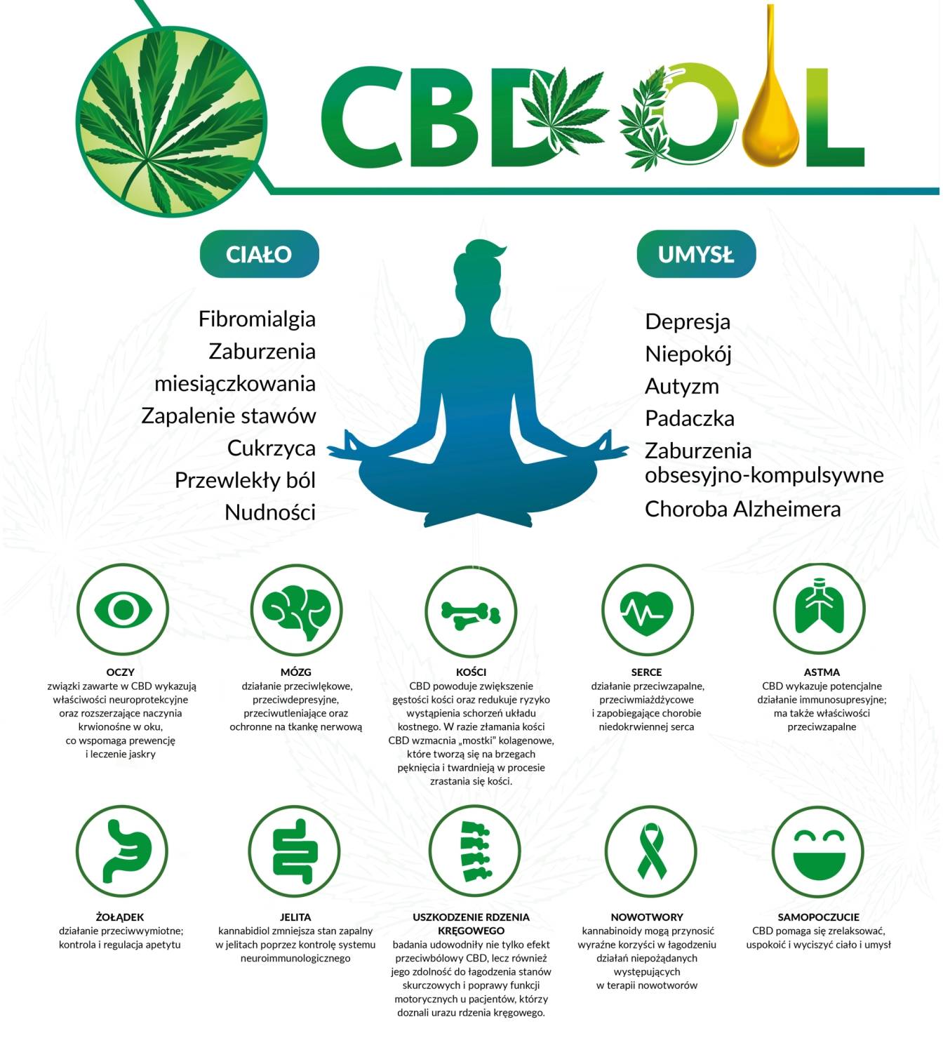 Olejek CBD - zastosowanie. Na co pomagają konopie lecznicze? Infografika.