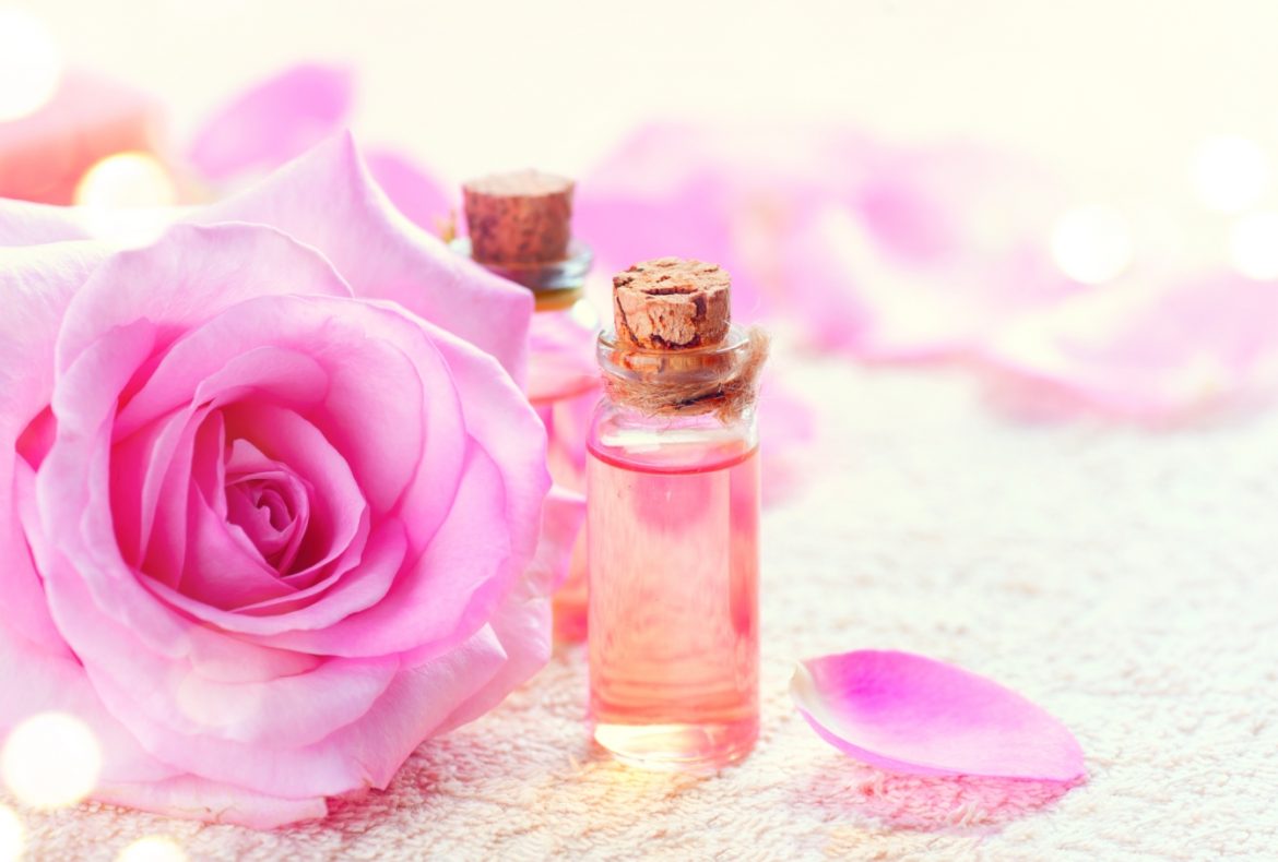 Olejek różany - właściwości i zastosowanie. Fiolka olejki z róży obok kwiat róży na białym tle.