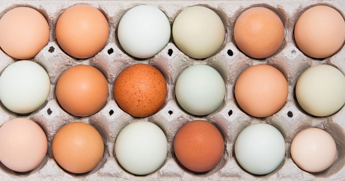 Jak czytać oznaczenia na jajkach?