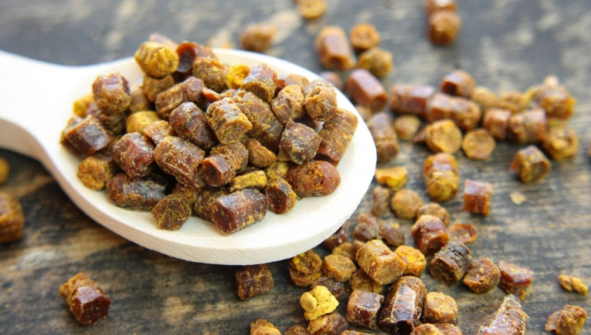 Co to jest pierzga, jakie ma właściwości lecznicze i zastosowanie? Pierzga pszczela na drewnianej łyżce.