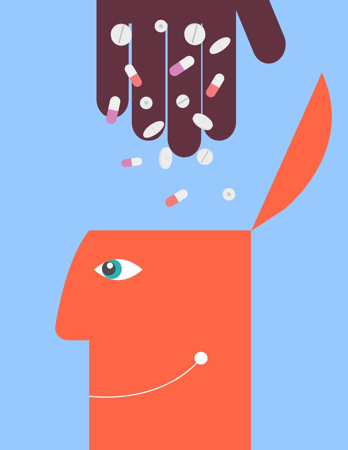 Efekt placebo - jak nasz mózg pomaga w leczeniu organizmu? Grafika przedstawiająca człowieka z otwartą czaszką, do wnętrza której dłoń wrzuca pastylki.